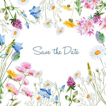 وکتور کادر گل وکتور حاشیه گل وکتور شاخه گل 1