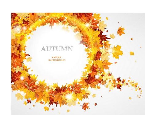 وکتور کادر برگ پاییزی وکتور حلقه گل وکتور برگ زرد