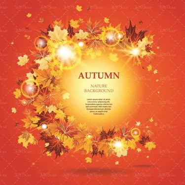 وکتور کادر برگ پاییزی وکتور حلقه گل وکتور قاب پاییز7