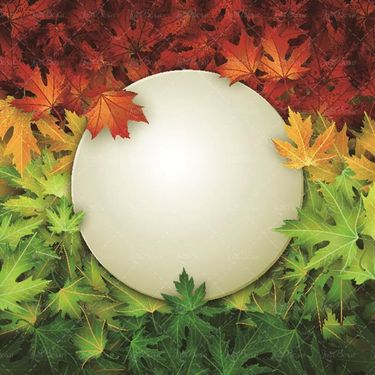 وکتور قاب برگی وکتور کادر برگ پاییزی1