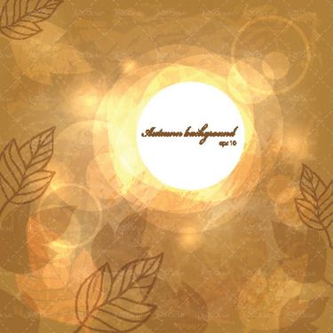 وکتور قاب برگی وکتور کادر برگ پاییزی6