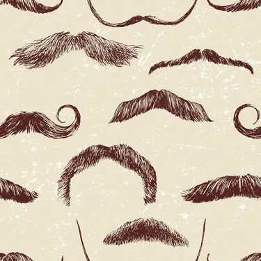 وکتور مدل سبیل مردانه وکتور انواع سبیل2