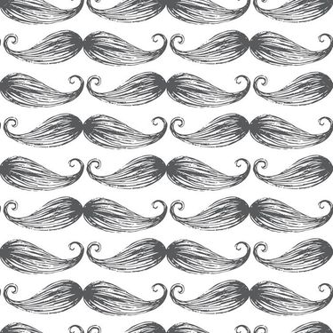 وکتور مدل سبیل مردانه وکتور انواع سبیل4