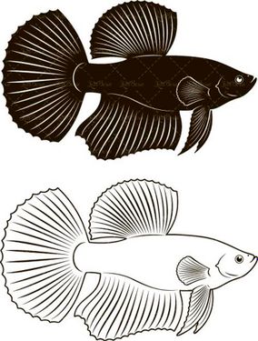 وکتور صید ماهی وکتور ماهی آکواریوم وکتور پرورش ماهی2