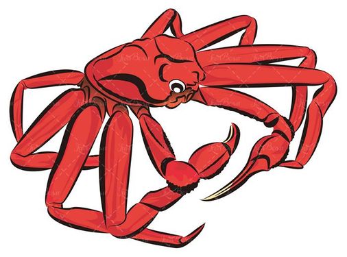 وکتور خرچنگ وکتور غذای دریایی وکتور پروتئینی