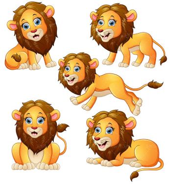 وکتور  شیر جنگل   وکتور حیوان وحشی وکتور باغ وحش5