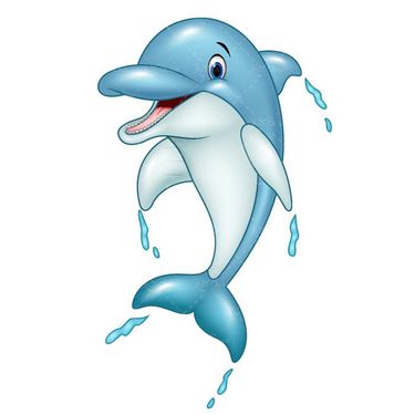 وکتور دلفین وکتور حیوان آبی وکتور حیوان دریایی