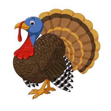 وکتور بقلمون وکتور طیور وکتور پرورش طیور