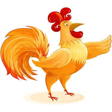 وکتور خروس وکتور پرورش طیور وکتور نقاشی خروس