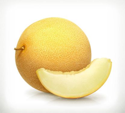 وکتور میوه فروشی وکتور میوه سرا وکتور خربزه