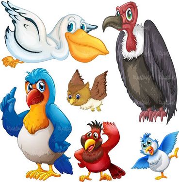 وکتور پرنده وکتور کرکس وکتور جغد وکتور پلیکان