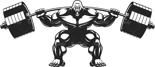 وکتور گوریل وکتور بدنسازی وکتور پرورش  اندام1