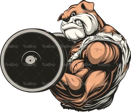 وکتور  وکتور بدنسازی وکتور پرورش  اندام وکتور هالتر