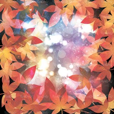 وکتور جلوه نور وکتور حاشیه برگ پاییزی وکتور حباب نور