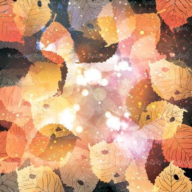 وکتور جلوه نور وکتور برگ پاییزی وکتور حباب نور2