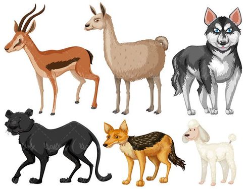 وکتور بز کوهی وکتور گرگ وکتور باغ وحش وکتور ببر وکتور پلنگ