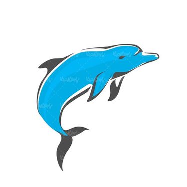 وکتور دولفین وکتور ماهی وکتور نقاشی دلفین وکتور دلفین سه بعدی