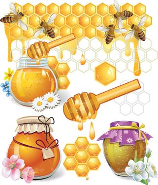 وکتور قاشق عسل وکتور قطره عسل وکتور کلونی زنبور عسل