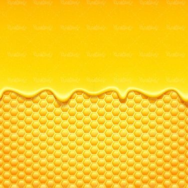 وکتور عسل وکتور قطره عسل وکتور شره عسل وکتور کلونی زنبور