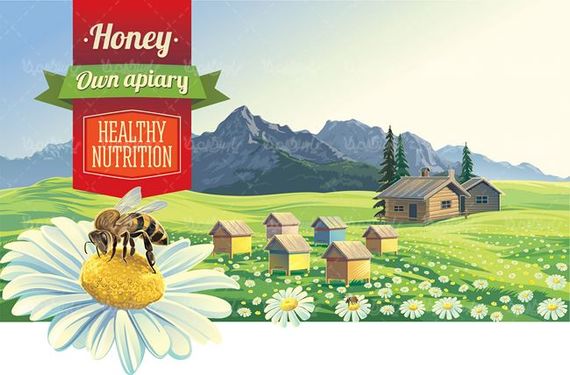 وکتور پرورش زنبور وکتور گل بهاری وکتور جعبه زنبور عسل