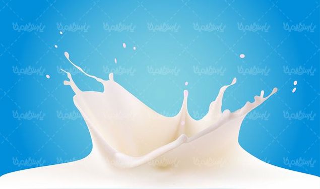 وکتور  شیر وکتور لبنیات وکتور فرآورده های لبنی8