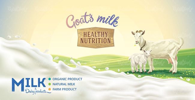 وکتور شیر وکتور فرآورده های لبنی وکتور بز وکتور لیبل شیر