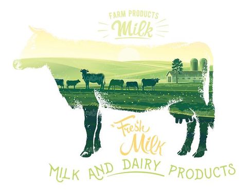 وکتور شیر وکتور فرآورده های لبنی وکتور گاو وکتور گاوداری