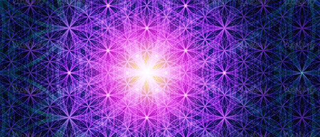 وکتور بک گراند گرافیکی وکتور پس زمینه رنگی 08