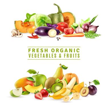 وکتور لوگو آب میوه وکتور برچسب آبمیوه وکتور میوه فروشی