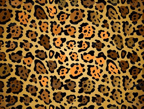 وکتور بک گراند پلنگی وکتور پس زمینه پلنگی3