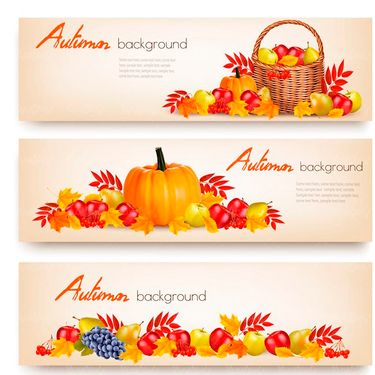 وکتور برگ پاییزی وکتور خوشه گندم وکتور کدو وکتور طرح بروشور پاییزی1