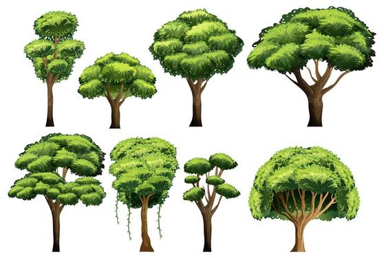 وکتور درخت وکتور وکتور شاخه و برگ درخت