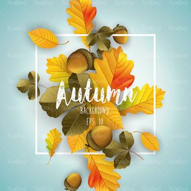 وکتور بک گراند پاییزی وکتور پس زمینه برگ پاییزی20