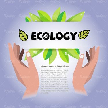 وکتور لوگو زیست شناسی وکتور برگ وکتور زیست بوم