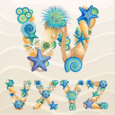 وکتور حروف لاتین وکتور ستاره دریای وکتور صدف دریای