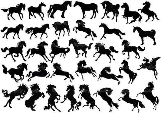 وکتور اسب وکتور نقاشی اسب وکتور اسب سیاه