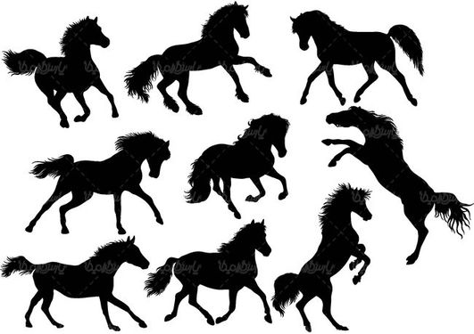 وکتور اسب وکتور نقاشی اسب وکتور اسب سیاه1
