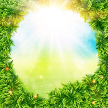 وکتور حاشه برگ وکتور قاب برگی وکتور پس زمینه جلوه نور1