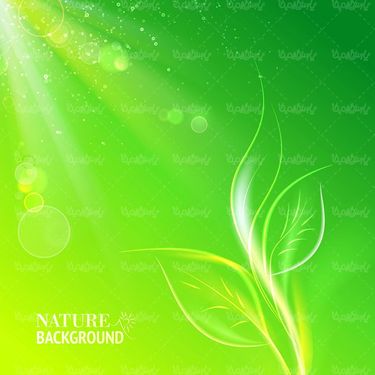 وکتور بک گراند گرافیکی وکتور بکگراند سبز وکتور پس زمینه جلوه نور1