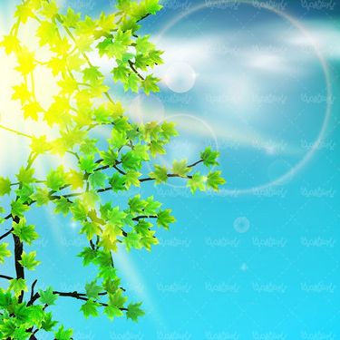 وکتور بک گراند  سبز وکتور پس زمینه   وکتور پس زمینه جلوه نور5