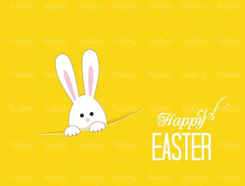 وکتور خرگوش وکتور بک گراند گرافیکی وکتور پس زمینه زرد