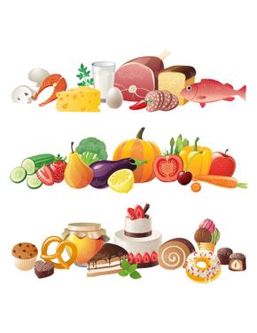 وکتور گوشت وکتور فرآورده های گوشتی وکتور شیرینی وکتور میوه