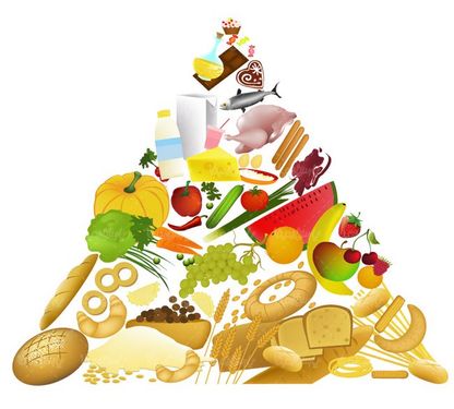 وکتور گوشت وکتور فرآورده های گوشتی وکتور نان وکتور میوه