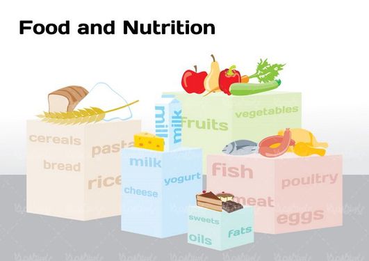 وکتور نمودار ارزش غذایی مواد غذایی مختلف وکتور میوه وکتور نان و غلات11
