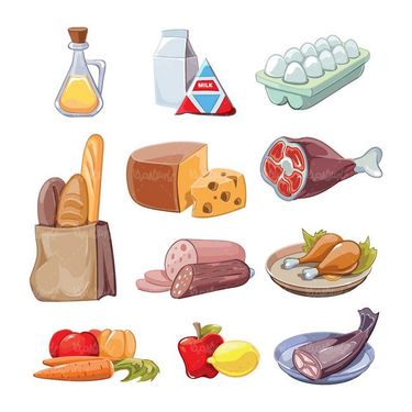 وکتور مواد غذایی وکتور پروتئین وکتور نان و غلات وکتور گوشت وکتور میوه