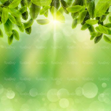 وکتور پس زمینه سبز وکتور نورخورشید وکتور بک گراند جلوه نور1