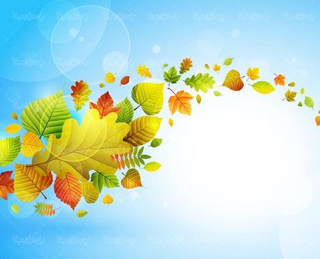 وکتور بک گراند پاییزی وکتور پس زمینه جلوه نور وکتور موج برگ زرد