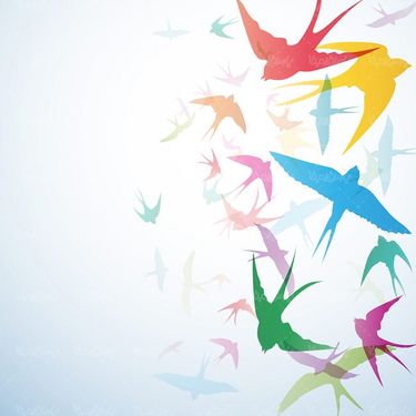 وکتور بک گراند پرستو  وکتور پس زمینه پرنده گرافیکی