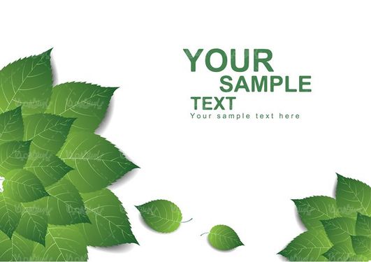 وکتور برگ سبز وکتور حاشیه برگ وکتور برگ درخت