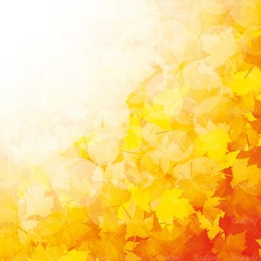 وکتور بک گراند پاییزی وکتور بک گراند برگ زرد پاییز